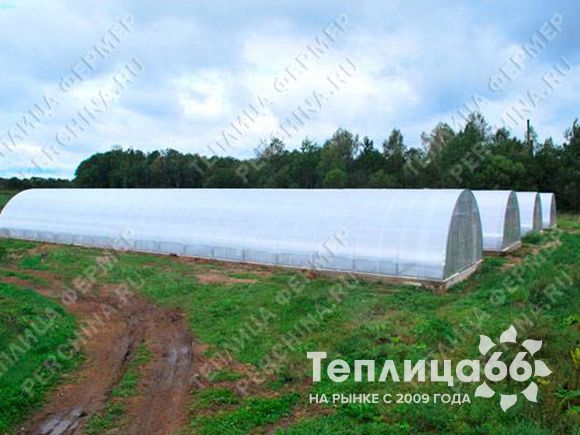 Теплица Фермер-7,5 промышленная длиной от 4,2 м., под сотовый поликарбонат (разборная)